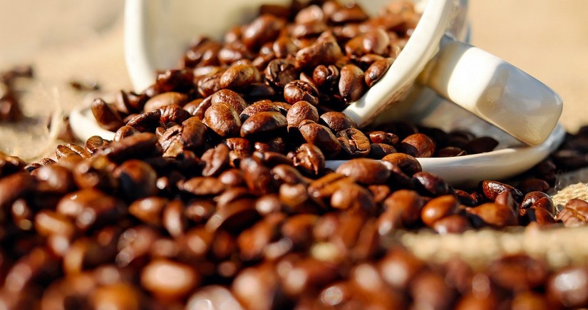 Kenya coffee exports hit 47,861 tonnes in 2023