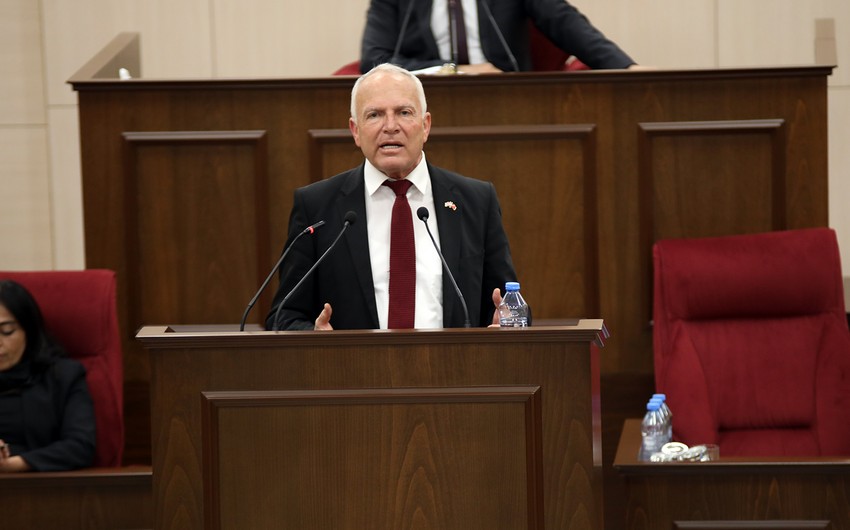 Zorlu Töre: The glorious flag raised by  Azerbaijani Army in Karabakh will wave forever