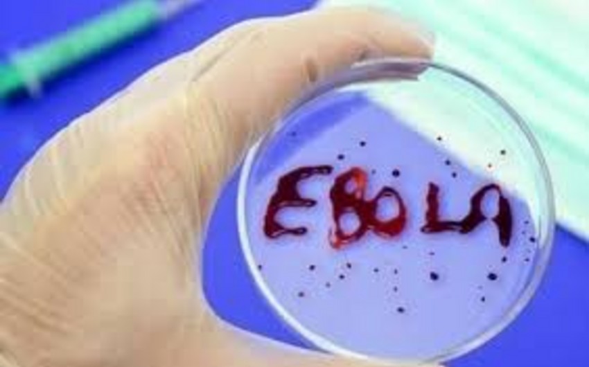 Ebolaya qarşı təsirli vaksin tapıldı