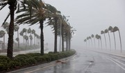 Hurricane Debby leaves six dead in Florida