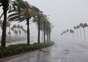 Hurricane Debby leaves six dead in Florida