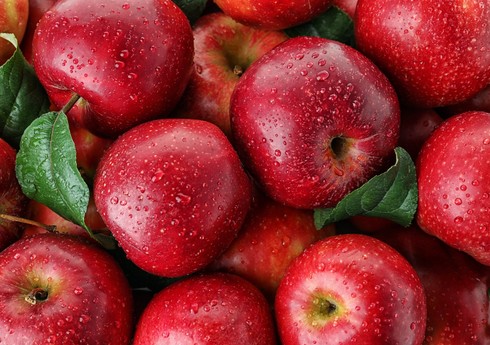 ОАЭ увеличила закупки яблок из Азербайджана в восемь раз