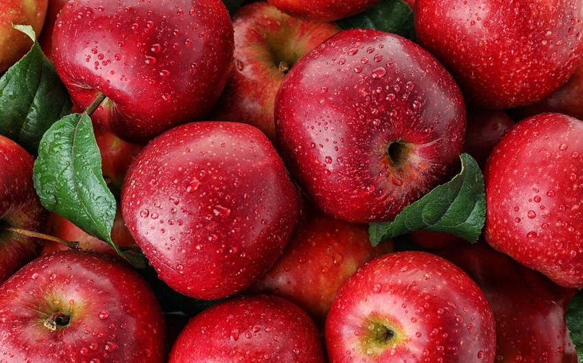 Большая доля в экспорте яблок Азербайджана пришлась на Россию 