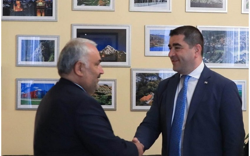 Грузинский спикер: Мы придаем большое значение трехстороннему сотрудничеству с Турцией и Азербайджаном