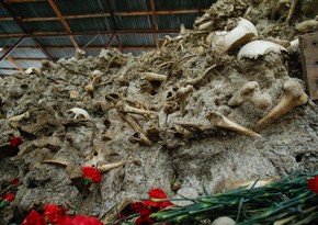 Terrible pain of history: a mass grave of genocide victims - PHOTOS