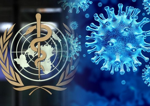 ВОЗ: Омикрон-штамм коронавируса обнаружен в 77 странах