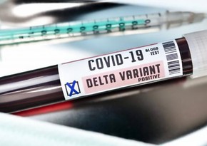 Georgia detects about 10 cases of delta plus COVID-19 variant