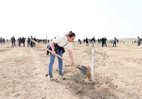 В связи со 100-летием общенационального лидера Гейдара Алиева прошла акция по посадке деревьев