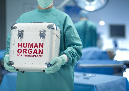 В Азербайджане утвержден порядок ввоза и вывоза донорских органов для трансплантации