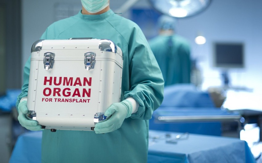 В Азербайджане утвержден порядок ввоза и вывоза донорских органов для трансплантации