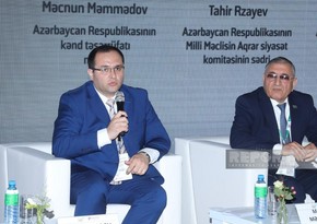 Majnun Mammadov: 5% of irrigation systems used in Azerbaijan are controlled ones