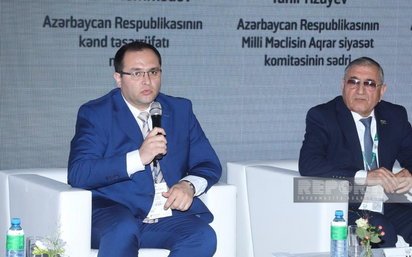 Majnun Mammadov: 5% of irrigation systems used in Azerbaijan are controlled ones