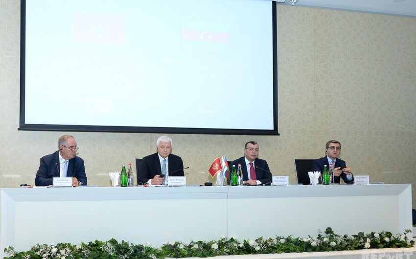 Азербайджан и Черногория намерены подписать пять контрактов