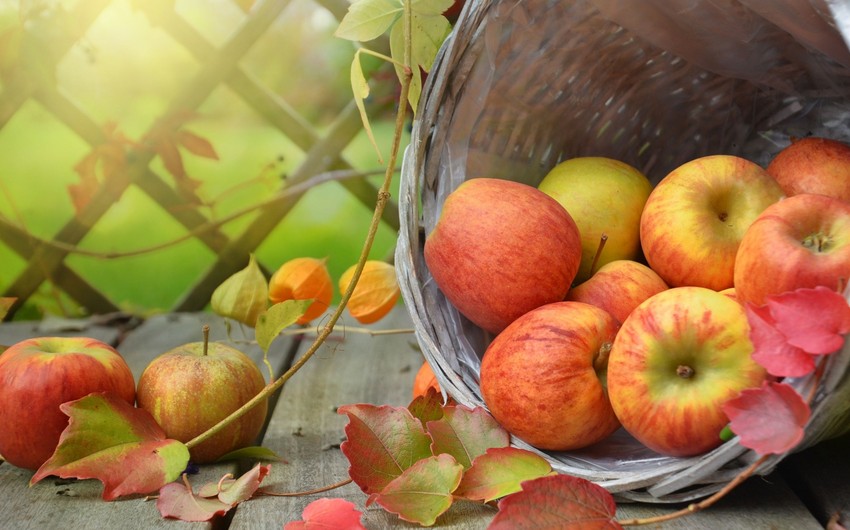 Азербайджан возобновил экспорт яблок в Саудовскую Аравию