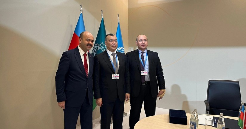 Azerbaijani, Turkish officials discuss efforts to combat climate change