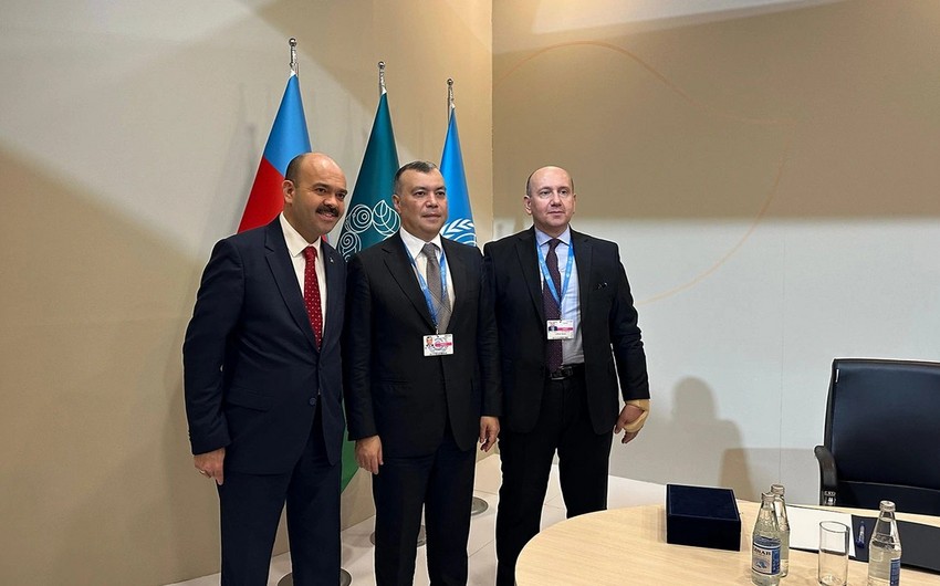 Azerbaijani, Turkish officials discuss efforts to combat climate change