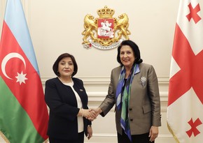 Председатель Милли Меджлиса встретилась с президентом Грузии