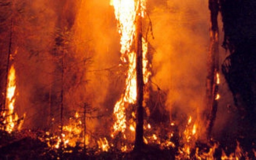 Режим ЧС ввели в Забайкалье из-за лесных пожаров