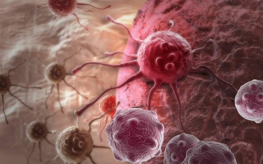 Ежегодно почти у 10 млн человек в мире обнаруживается онкология