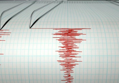 В Бразилии произошло сильное землетрясение