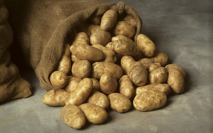 Основными покупателями российского картофеля в прошлом году стали Украина и Азербайджан