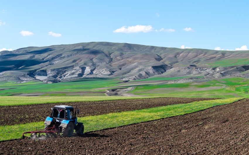 WB reviews competitiveness of Azerbaijan’s agricultural sector