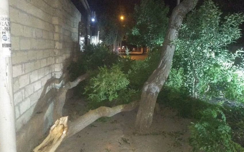Сильный ветер в Баку вызвал ряд осложнений