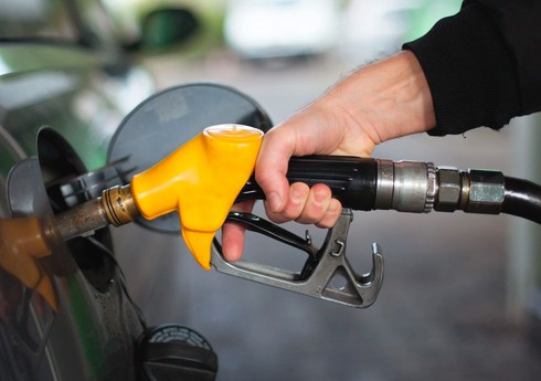 В Казахстане прокомментировали сообщения о создании запаса бензина