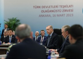 Эрдоган: Тюркоязычные страны в числе первых пришли на помощь Турции 