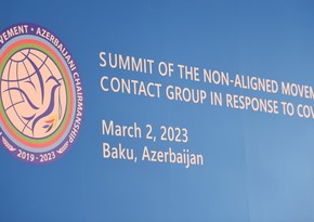 President Ilham Aliyev attending summit-level Meeting of Non-Aligned Movement Contact Group in response to COVID-19 in Baku - UPDATED