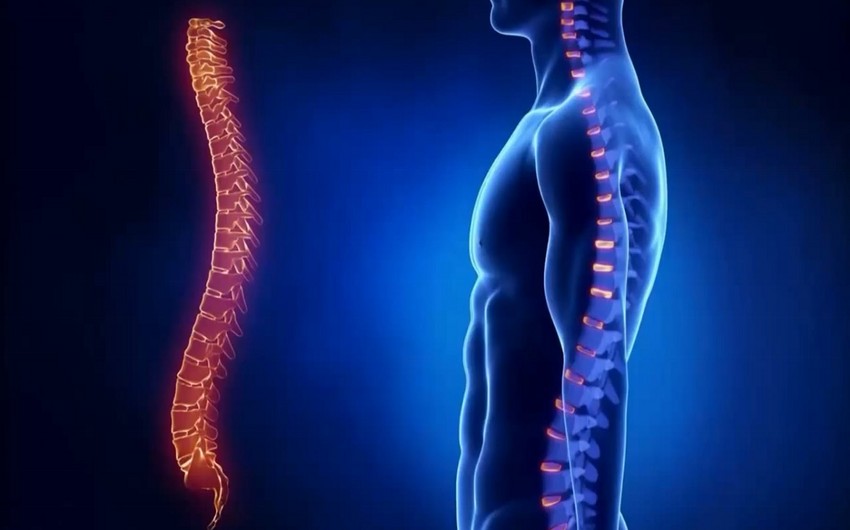 ​What should we pay attention for when having spine problems?