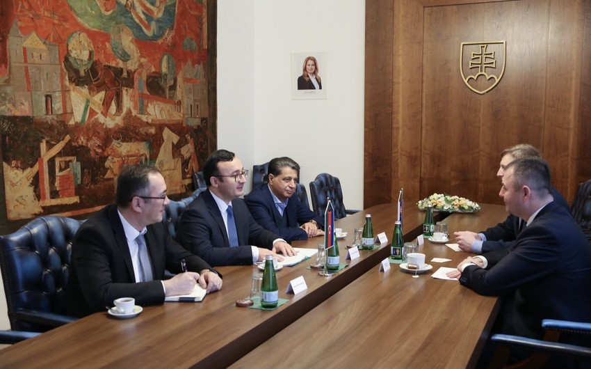 Азербайджан и Словакия обсудили развитие многостороннего сотрудничества