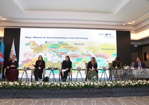 International conference on domestic violence continues in Baku