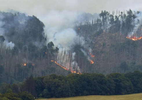 Лесные пожары пылают на востоке Германии и в Чехии