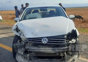 В Джалилабаде произошло ДТП с участием пяти автомобилей