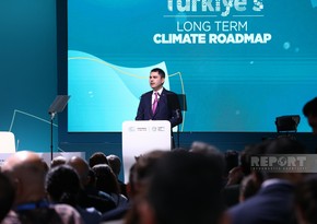 Türkiyə emissiyaların ən çox qaynaqlandığı enerji sektorunda qarşısına qoyduğu hədəfləri açıqlayıb