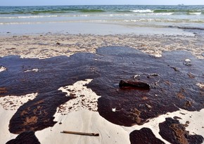 Популярные пляжи в США залило нефтью