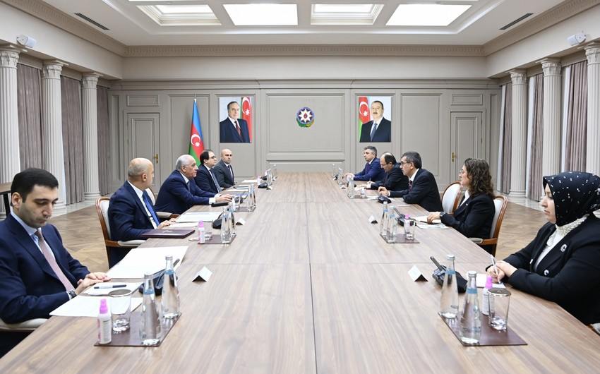 Azerbaijani PM, Turkish education minister mull current state of cooperation