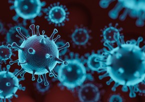Koronavirusun ölümcül fəsadlarının səbəbi bəlli oldu