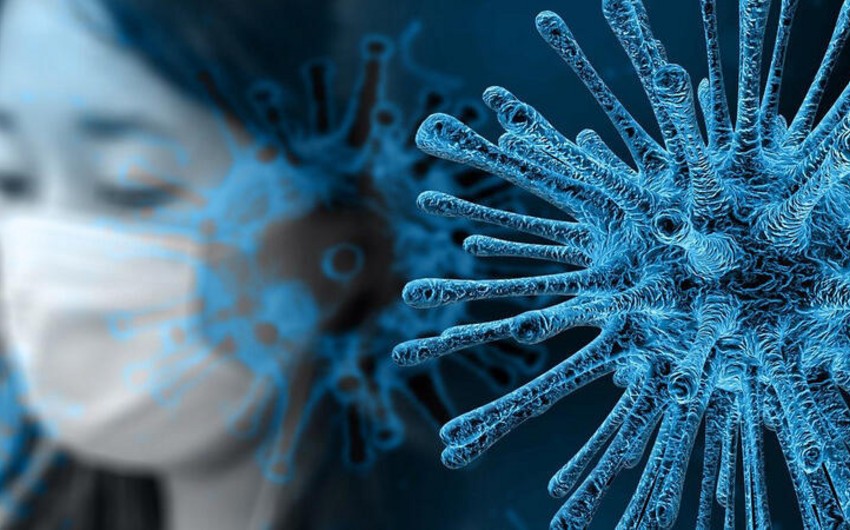 В Италии число заразившихся коронавирусом достигло 203 591 человека