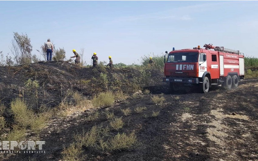 В регионе Азербайджана сгорело пшеничное поле - ФОТО