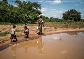 Всемирный банк выделил Замбии более $200 млн на борьбу с засухой