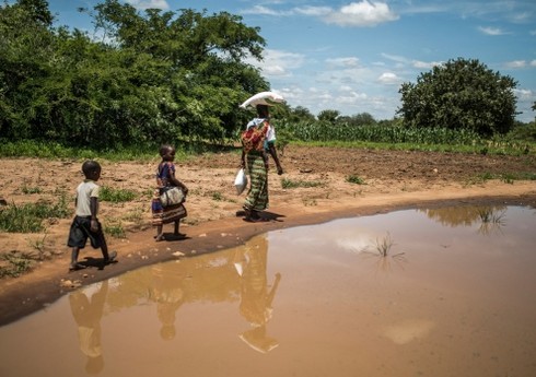 Всемирный банк выделил Замбии более $200 млн на борьбу с засухой