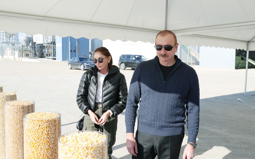 President Ilham Aliyev, First Lady Mehriban Aliyeva review conditions at Aghjabadi Grain Agropark