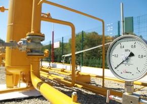 Stefan Srbljanović: Azerbaijan one of Serbia main partners in diversifying gas supply sources