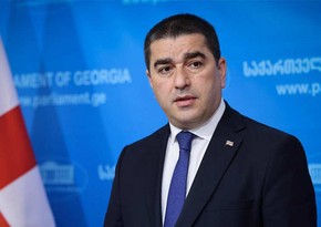 Georgian speaker accuses US embassy of spreading misinformation