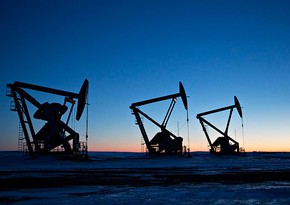 МЭА сохранило прогноз предложения нефти в мире в 2024-2025гг