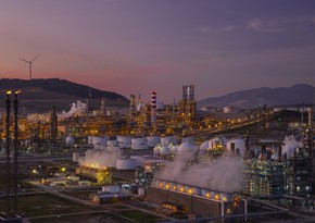 В январе НПЗ SOCAR в Турции увеличил импорт сырой нефти на 10%