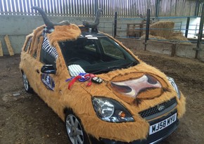 Scotsman will pass through Azerbaijan by a car disguised as cow - PHOTO