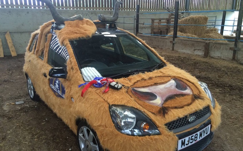 Шотландец проедет через Азербайджан на машине в форме коровы - ФОТО